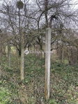 Eladó telek, Sárváron 5.5 M Ft / költözzbe.hu