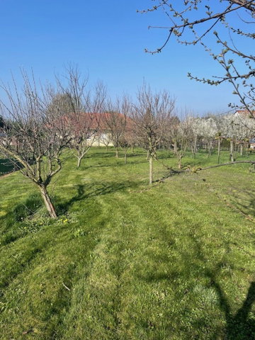 Eladó családi ház, Keszthelyen 37.9 M Ft, 1 szobás