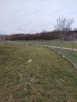 Eladó telek, Tarjánon 4.5 M Ft / költözzbe.hu