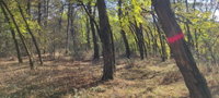 Eladó mezogazdasagi ingatlan, Szilaspogonyon 12.8 M Ft