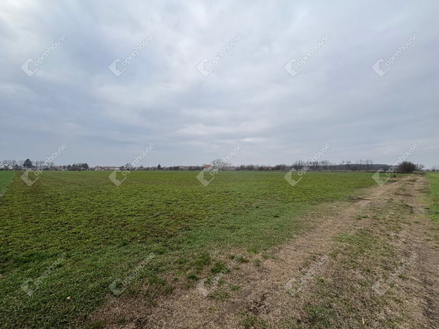 Eladó telek, Csévharaszton 90 M Ft / költözzbe.hu