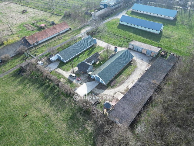 Eladó mezogazdasagi ingatlan, Gárdonyban 90 M Ft