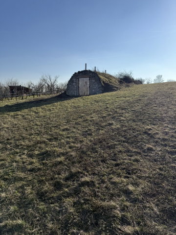 Eladó mezogazdasagi ingatlan, Csákváron 5.5 M Ft
