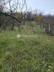 Eladó telek, Pécsett, Hosszú-földi utcában 4.5 M Ft