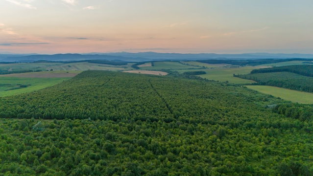 Eladó mezogazdasagi ingatlan, Abodon 99.9 M Ft