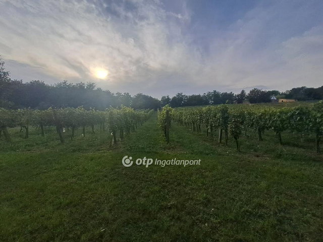 Eladó telek, Káptalantótin 9.5 M Ft / költözzbe.hu