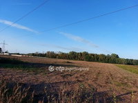 Eladó mezogazdasagi ingatlan, Ópusztaszeren 2.9 M Ft
