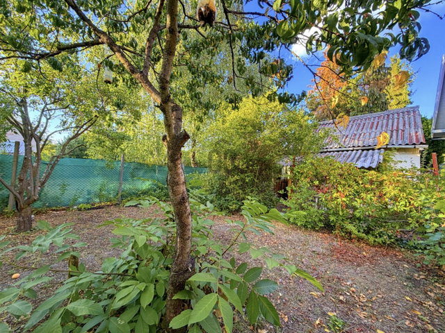 Eladó telek, Szentendrén 29.9 M Ft, 1 szobás
