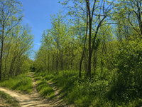 Eladó mezogazdasagi ingatlan, Zalaszentgróton 3.9 M Ft