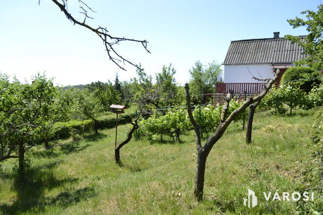 Eladó mezogazdasagi ingatlan, Balatonalmádiban 44 M Ft, 1 szobás