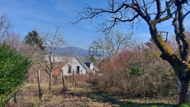 Eladó telek, Solymáron 73 M Ft / költözzbe.hu