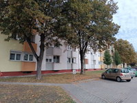 Kiadó téglalakás, albérlet, Ajkán, Móra Ferenc utcában