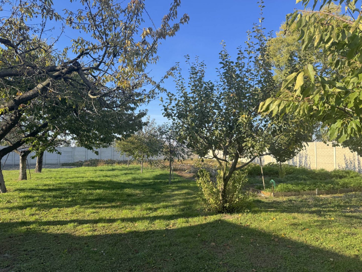 1037m² · 27.900.000 ft