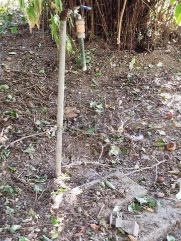 Eladó családi ház, Lippón 3.9 M Ft, 2 szobás