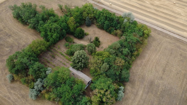 Eladó családi ház, Kecskeméten 29.8 M Ft, 1 szobás
