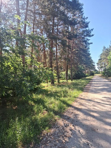 Eladó telek, Inárcson 55 M Ft / költözzbe.hu