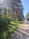 Eladó telek, Inárcson 55 M Ft / költözzbe.hu