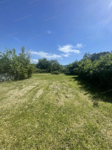 Eladó mezogazdasagi ingatlan, Esztergomban 70 M Ft