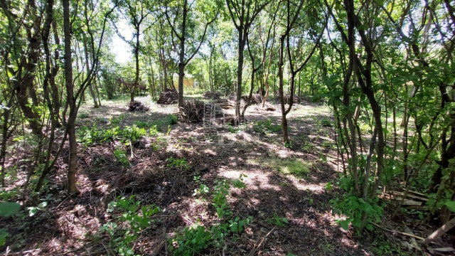 Eladó telek, Dunabogdányban 24.9 M Ft / költözzbe.hu