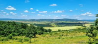 Eladó mezogazdasagi ingatlan, Csabdiban 59.9 M Ft