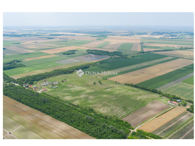 Eladó mezogazdasagi ingatlan, Kunadacson 257.141 M Ft, 4 szobás