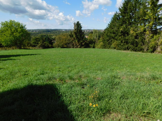 Eladó családi ház, Cserszegtomajon 36.9 M Ft, 1+1 szobás