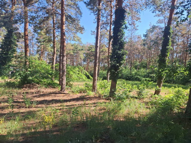 Eladó telek, Inárcson 55 M Ft / költözzbe.hu