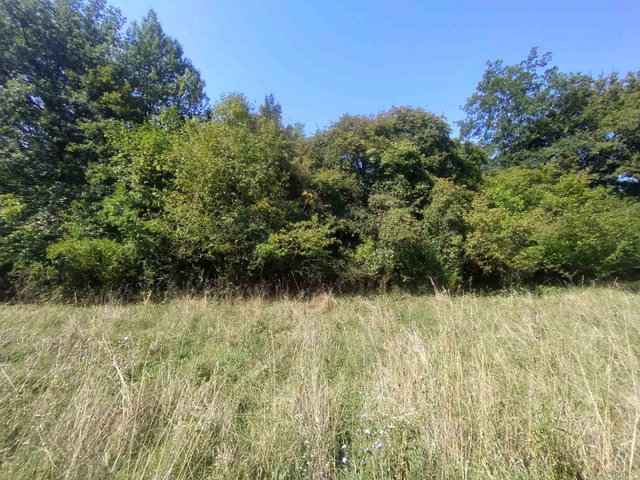 Eladó telek, Zebegényben 16.9 M Ft / költözzbe.hu