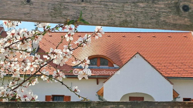 Eladó nyaraló, Balatonalmádiban 321 M Ft, 3+1 szobás