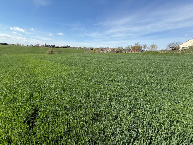 Eladó telek, Cserszegtomajon 14.9 M Ft / költözzbe.hu
