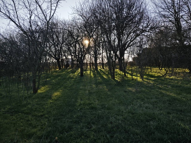 Eladó mezogazdasagi ingatlan, Polgáron 14.9 M Ft, 2 szobás