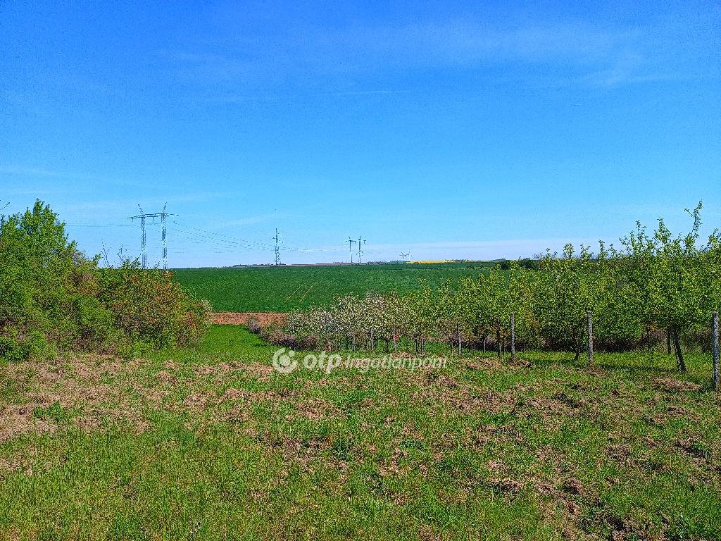 2696m² · 41.000.000 ft