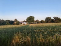 Eladó mezogazdasagi ingatlan, Sülysápon 29.9 M Ft