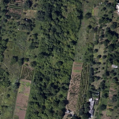 Eladó mezogazdasagi ingatlan, Miskolcon 5 M Ft