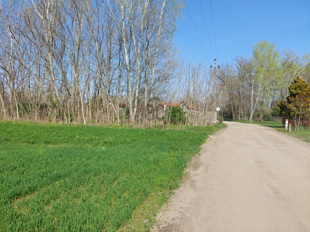 Eladó telek, Dömsödön 17.9 M Ft / költözzbe.hu