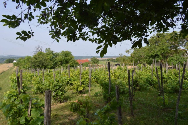 Eladó mezogazdasagi ingatlan, Balatonendréden 10 M Ft