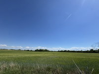 Eladó mezogazdasagi ingatlan, Papkeszin 2.1 M Ft