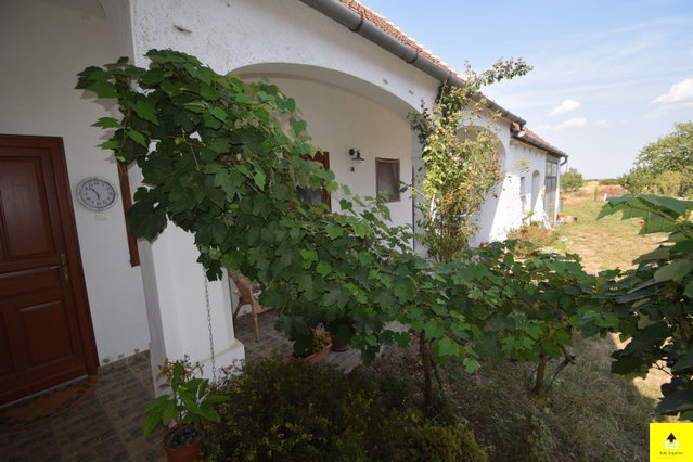 Eladó családi ház, Undon 40 M Ft, 2 szobás