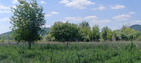 Eladó telek, Badacsonytördemicen 14.5 M Ft / költözzbe.hu