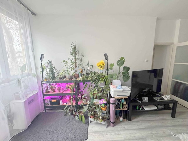 Eladó téglalakás, Budapesten, XX. kerületben 59.9 M Ft