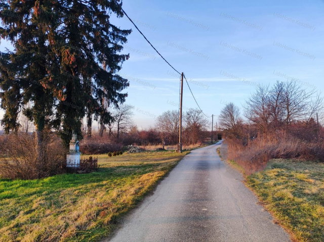 Eladó mezogazdasagi ingatlan, Szentgyörgyváron 3.5 M Ft