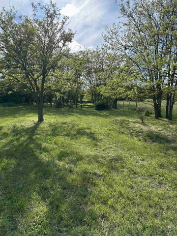 Eladó mezogazdasagi ingatlan, Zalacsányon 29.9 M Ft