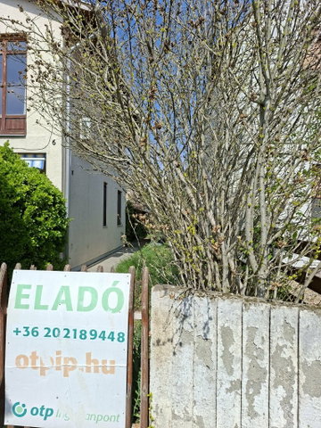 Eladó családi ház, Hajdúszoboszlón 105 M Ft, 5+1 szobás