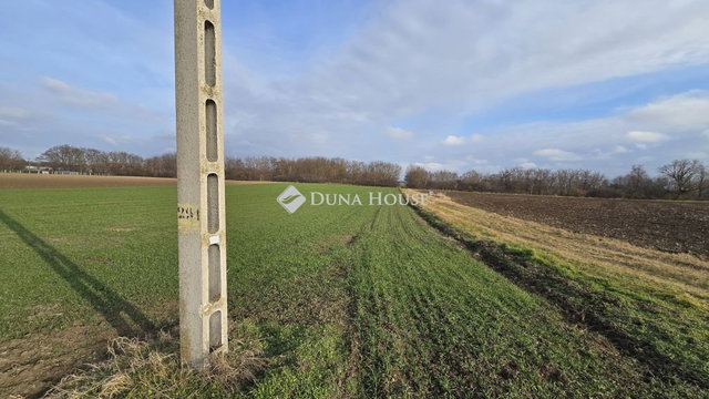 Eladó telek, Besnyőn, Rákóczi Ferenc utcában 29.5 M Ft