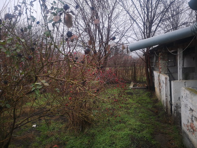 Eladó családi ház, Kengyelen 14.5 M Ft, 2 szobás