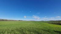 Eladó mezogazdasagi ingatlan, Sülysápon 40.5 M Ft