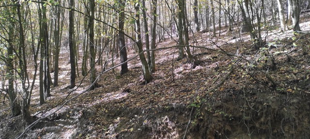 Eladó mezogazdasagi ingatlan, Szilaspogonyon 12.8 M Ft