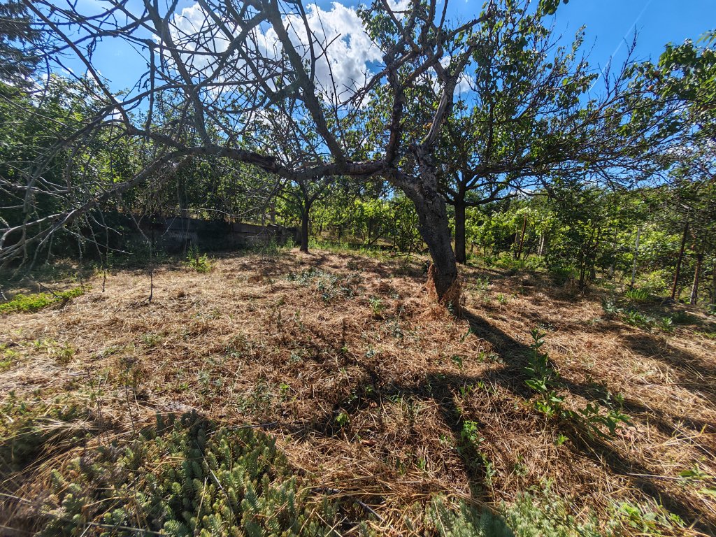 839m² · 12.000.000 ft