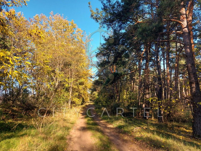 Eladó mezogazdasagi ingatlan, Papkeszin 1.5 M Ft