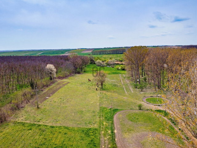 Eladó mezogazdasagi ingatlan, Mányon 300 M Ft, 5 szobás